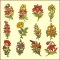 BFC20082  11th,12th,13th, 14th  Anniversary Designs Combo