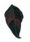 BFC1629 QIH Applique Poinsettias