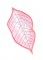 BFC1629 QIH Applique Poinsettias
