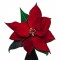 BFC1629 QIH Applique Poinsettias