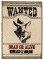 BFC1634 The Wild West