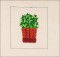 BFC1635 Gardening Quilt Collection - The Flower Shop Window