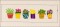 BFC1635 Gardening Quilt Collection - The Flower Shop Window