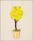 BFC1645 Gardening Quilt Collection - The Arboretum