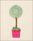 BFC1645 Gardening Quilt Collection - The Arboretum