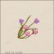 BFC1645 Gardening Quilt Collection - The Arboretum