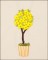 BFC1646 Gardening Quilt Collection - Quilt Blocks