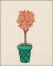 BFC1646 Gardening Quilt Collection - Quilt Blocks