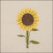 BFC1646 Gardening Quilt Collection - Quilt Blocks