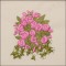 BFC1646 Gardening Quilt Collection - Quilt Blocks