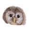 BFC1647 Three Baby Owl Portraits