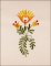 BFC1648 Floral Motifs for Spring - 05