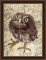 BFC1649 Large Baby Owl