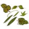 BFC1650 3D FSL Flower Picture