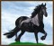 BFC1652 Large Friesian Horse