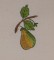 BFC1653 Folk Art Inspired - 13