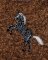 BFC1655 Embellished Horses - 12