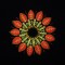 BFC1660 Ornamental Mandala Designs