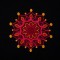 BFC1660 Ornamental Mandala Designs