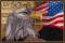 BFC1662 Large Patriotic Eagle