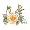 BFC1663 Delicate Roses