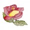 BFC1663 Delicate Roses