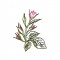 BFC1663 Delicate Roses