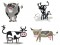 BFC1667 Crazy Cows Fun Set