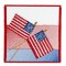 BFC1668 American Flags Fun Set