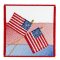 BFC1668 US Flag-02