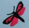 BFC0167 Butterfly Pack
