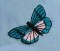 BFC0167 Butterfly Pack
