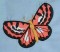 BFC0167 Butterfly Pack