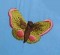 BFC0167 Butterfly Pack