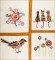 BFC1673 Slightly Tangled Folk Art
