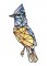 BFC1674 Stained Glass Birds