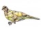 BFC1674 Stained Glass Birds