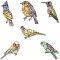 BFC1674 Stained Glass Birds