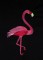 BFC1675 Flamingo Paradise