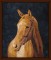 BFC1678 Large Horse Portrait