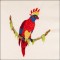 BFC1683 Colorful Ethnic Birds
