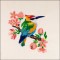 BFC1683 Colorful Ethnic Birds