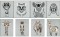 BFC1687 Shades of Tangled Animals