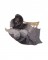 BFC1689 Large Kitten in a Hammock
