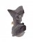 BFC1689 Large Kitten in a Hammock