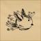 BFC1693 Sketchy Pals - Blackwork  Version - Birdy