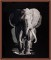BFC1698 Large Black and White Elephant
