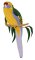 RMG16a: Green Rosella