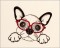 BFC1700 It's a Dog's Life