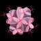 BFC1707 Fractilicious Florals